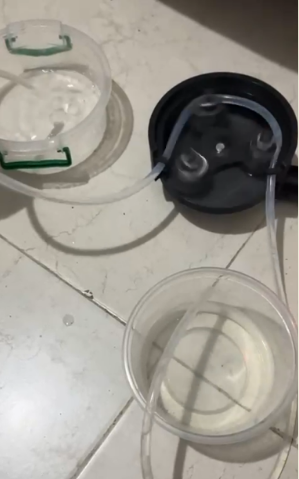 Sistema basado en inteligencia artificial para el diagnóstico temprano de oclusiones arteriales mediante ultrasonido