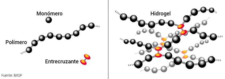 Hidrogel funcional con extractos naturales para regeneración cutánea