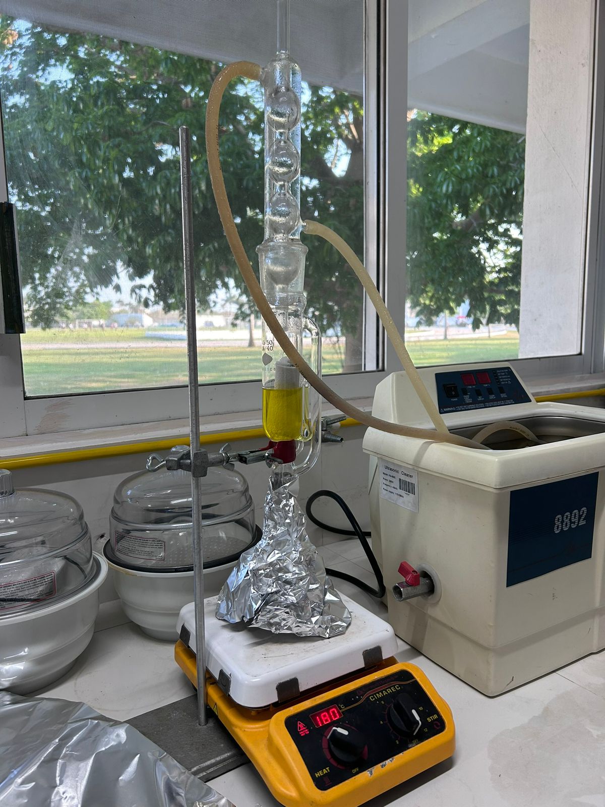 Caracterización de extractos de cola de zorro (Heliotropium curassavicum) y achiote (Bixa Orellana).