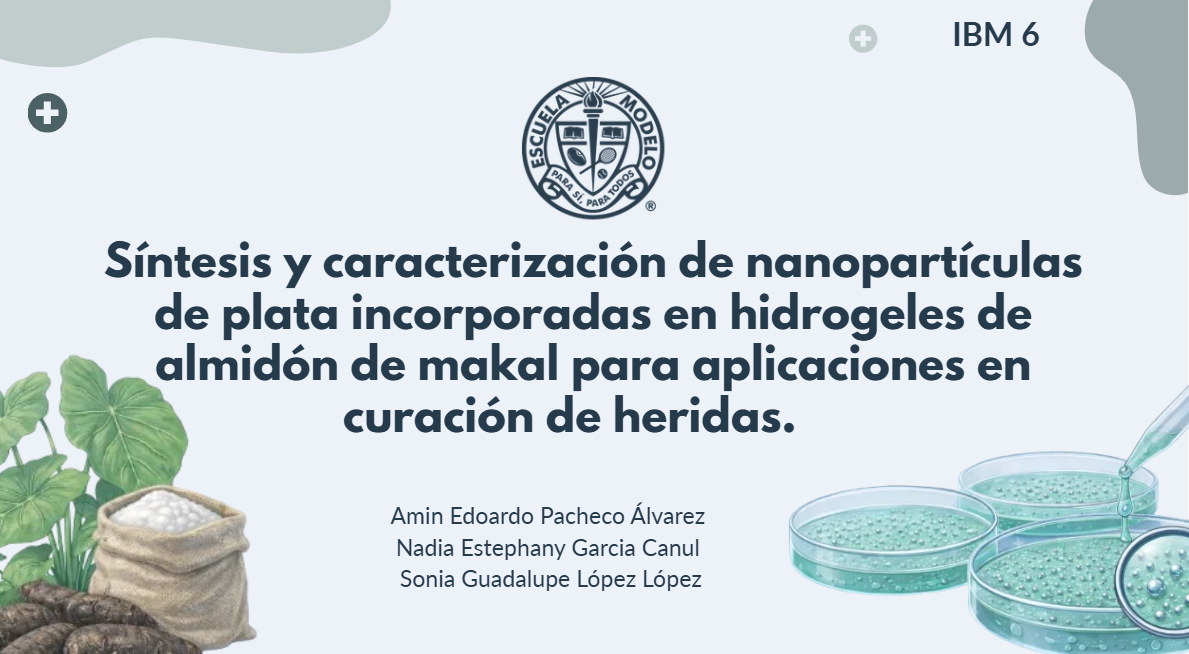 Síntesis y caracterización de nanopartículas de plata incorporadas en hidrogeles de almidón de makal para aplicaciones en curación de heridas.