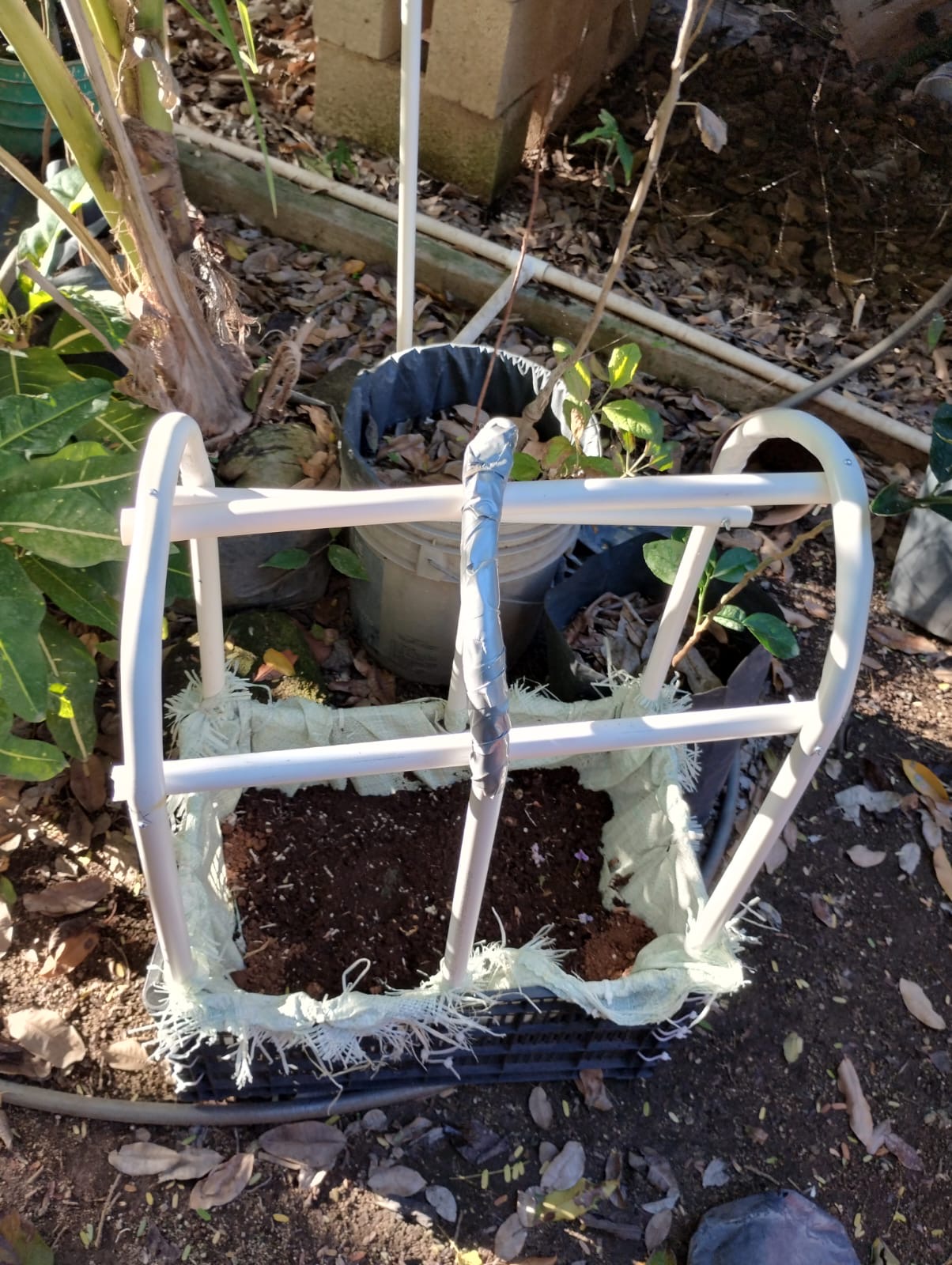 Sistema de Automatización para Invernadero Inteligente