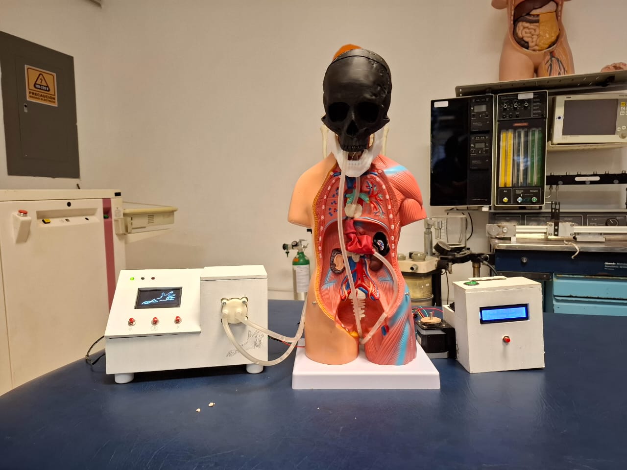 DEGLUCIÓN FUNCIONAL