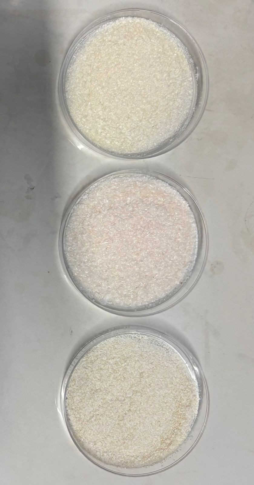 Extracción de Quitosano a partir de desechos de caparazón de camarón para el desarrollo de películas con potencial aplicación como biomaterial