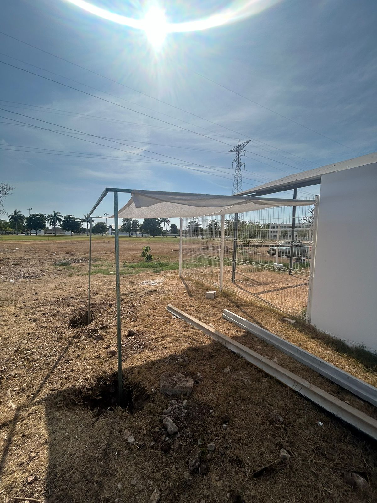“Monitoreo de contaminantes en agua de cenote utilizando sembradíos de orégano y frijol como bioindicadores”