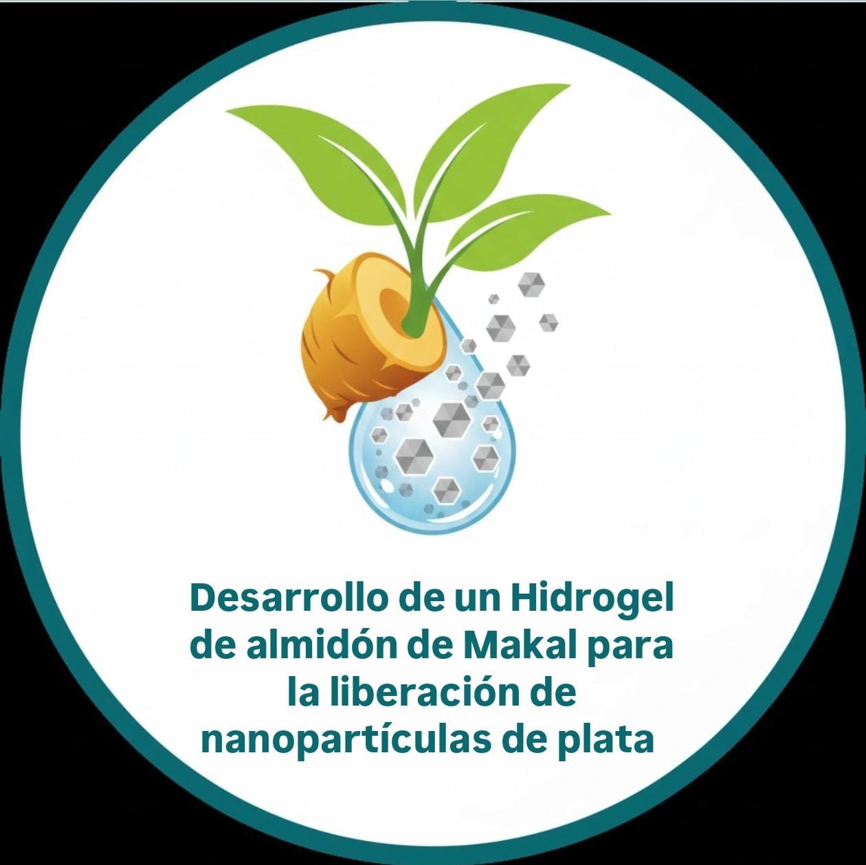 Desarrollo de un hidrogel de almidón de Makal para la libereación de nanopartículas de plata.