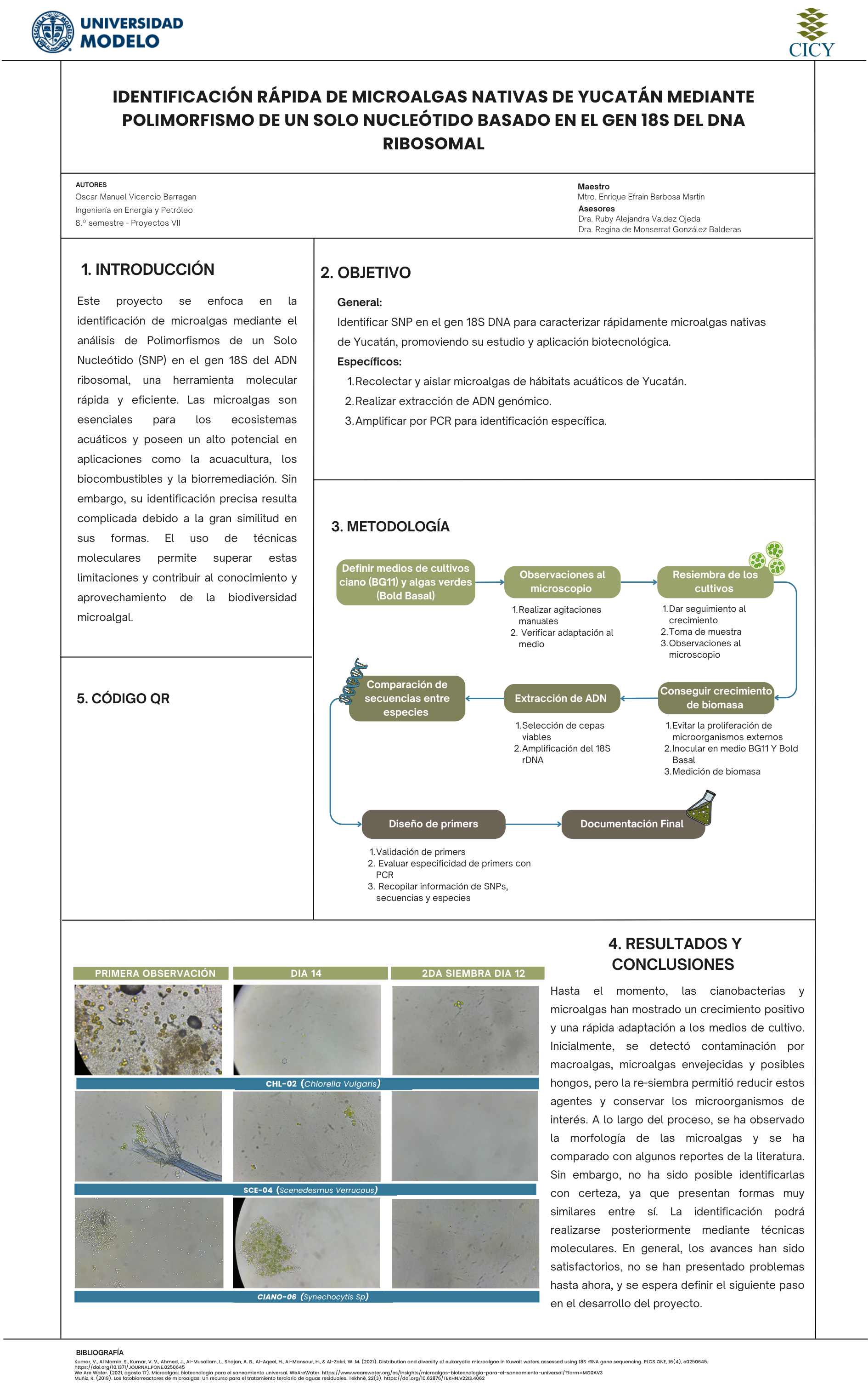 Identificación rápida de microalgas nativas de Yucatán mediante Polimorfismo de un Solo Nucleótido basado en el gen 18S del DNA ribosomal