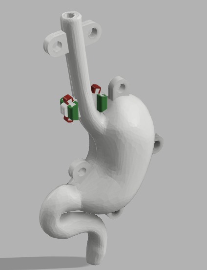 Simulador endoscopico