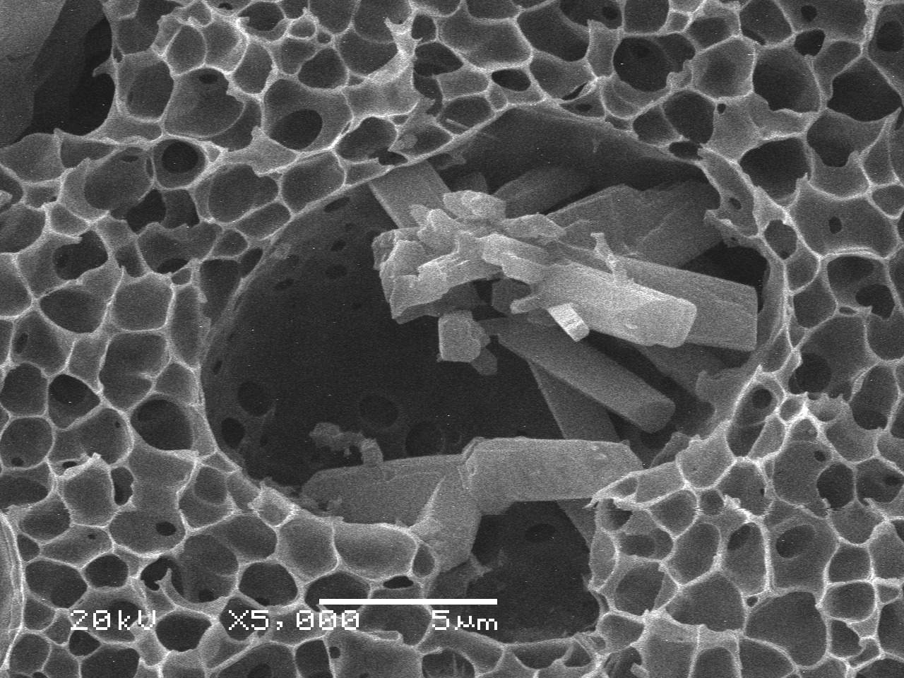 Desarrollo de membranas asimétricas de PPSU y MOFs con potenciales aplicaciones en la remoción de herbicida acido 2,4-diclorofenoxiacético (2,4-D)