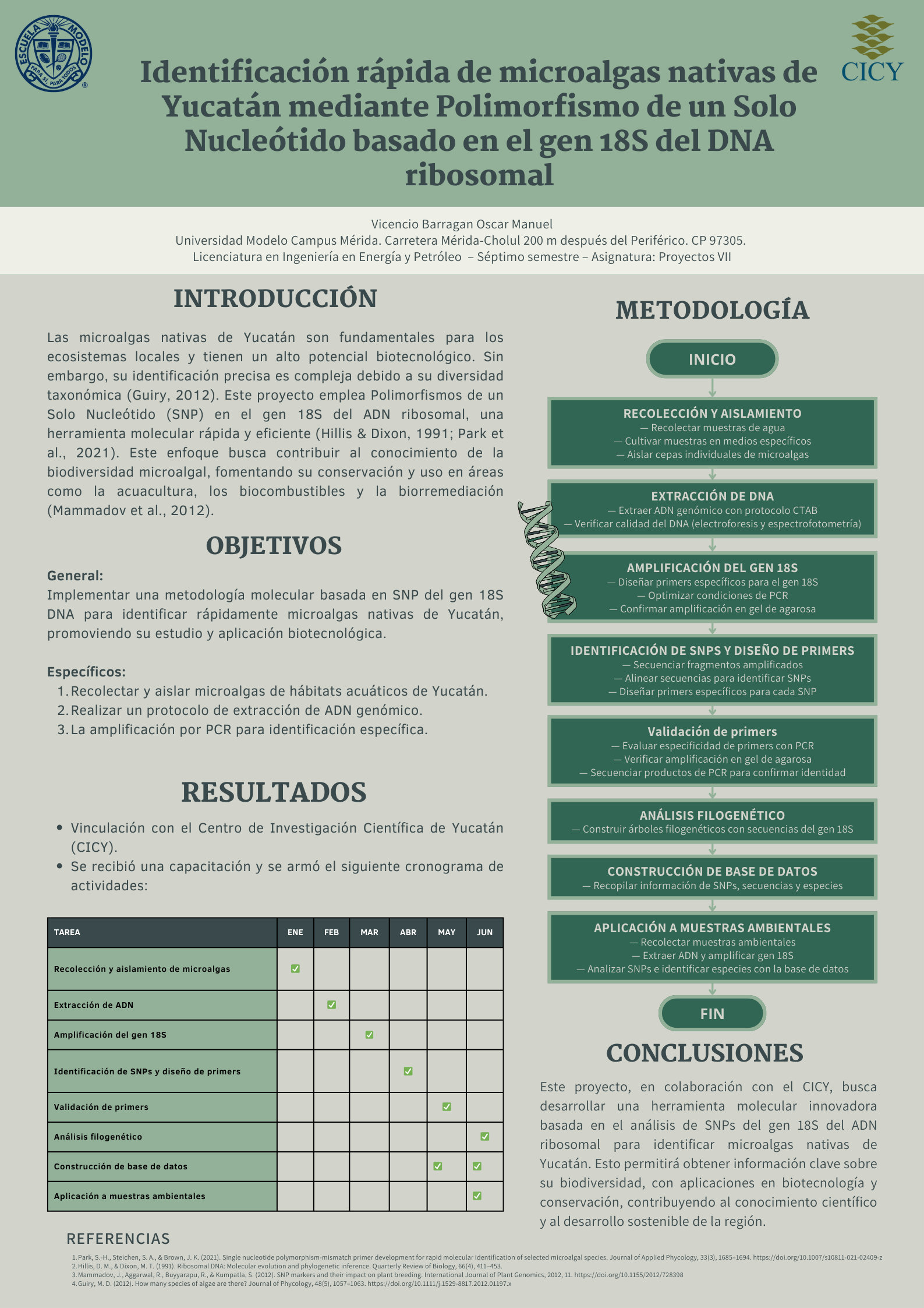 Identificación rápida de microalgas nativas de Yucatán mediante Polimorfismo de un Solo Nucleótido basado en el gen 18S del DNA ribosomal