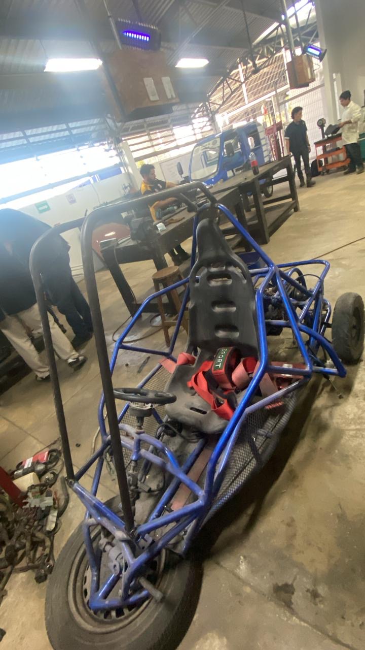 Fénix jaula antivuelco