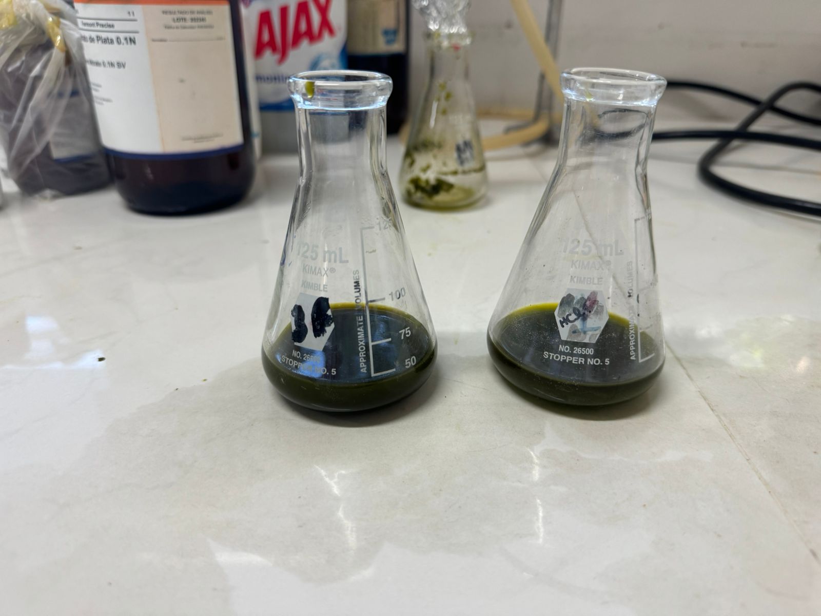 Descubriendo el poder antioxidante de las plantas de nuestra región: de la flora al laboratorio