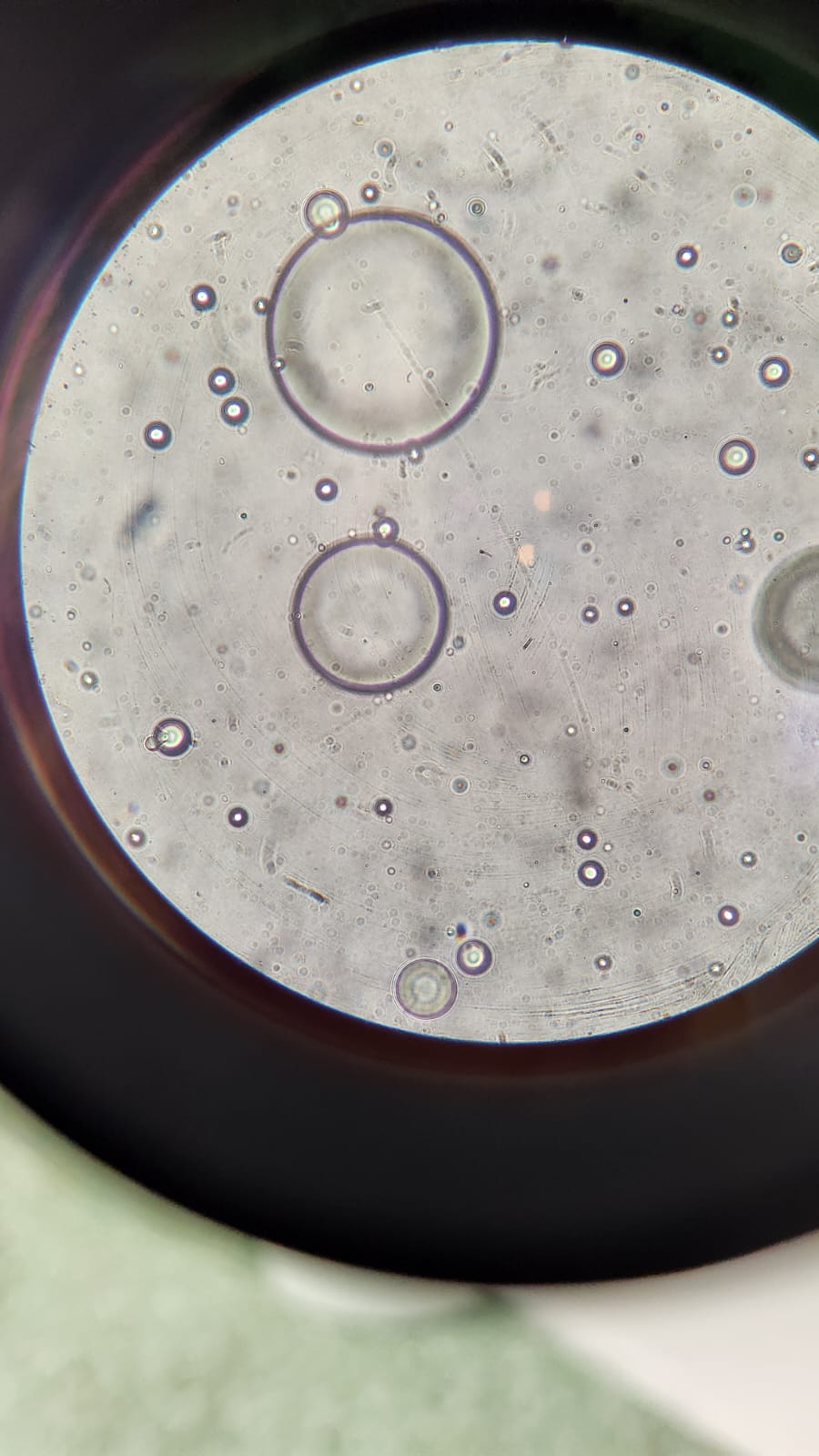 Elaboración de Micelas de Pectina de Naranja Agria mediante Emulsificación para la Posible  Liberación Controlada de Atorvastatina