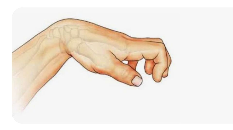 Miguel Eduardo Rodriguez Contreras,  Marijose Lopez Hernandez, María Sofía Rejón Rivera, Marco Antonio Botello Gonzales, Jennifer Lizette Cabrera Abundis