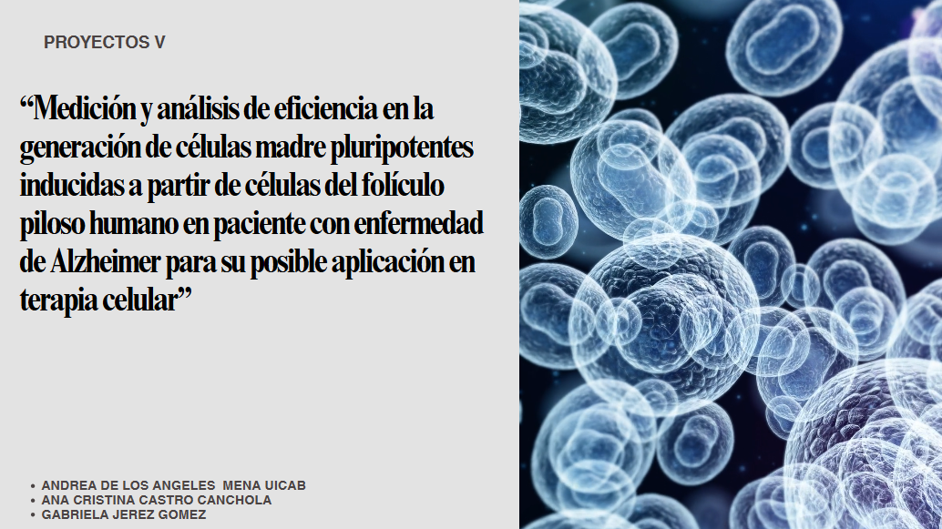 Medición y análisis de eficiencia en la generación de células madre pluripotentes inducidas
